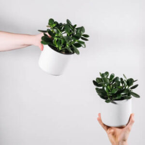 product on production