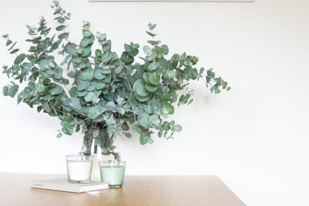 Minimalist image of eucalyptus branches in a glass vase with candles on a wooden table.