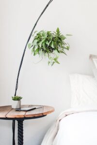 Stylish minimalist bedroom with hanging and table plants creating a serene atmosphere.