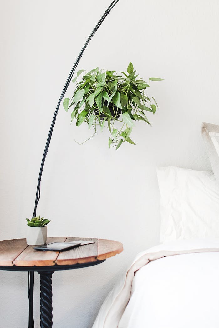 Stylish minimalist bedroom with hanging and table plants creating a serene atmosphere.